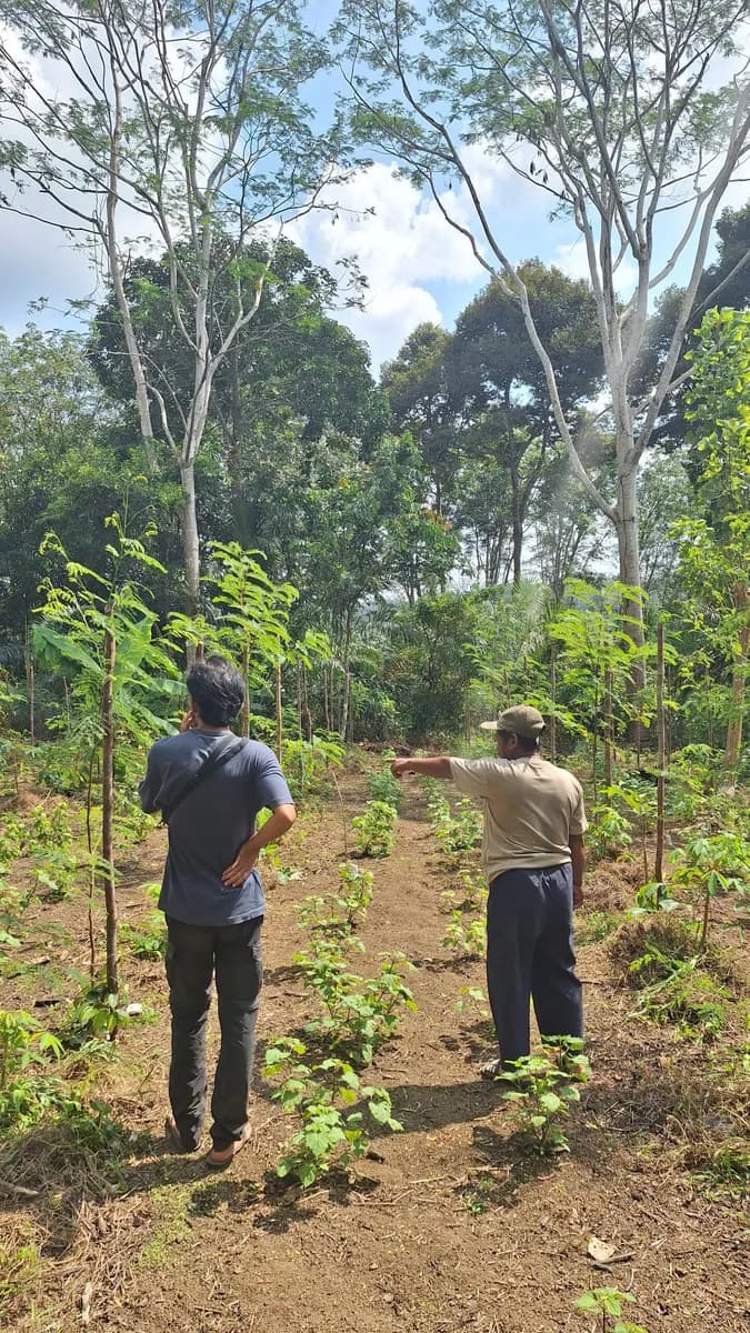 Bedengung Demofarm