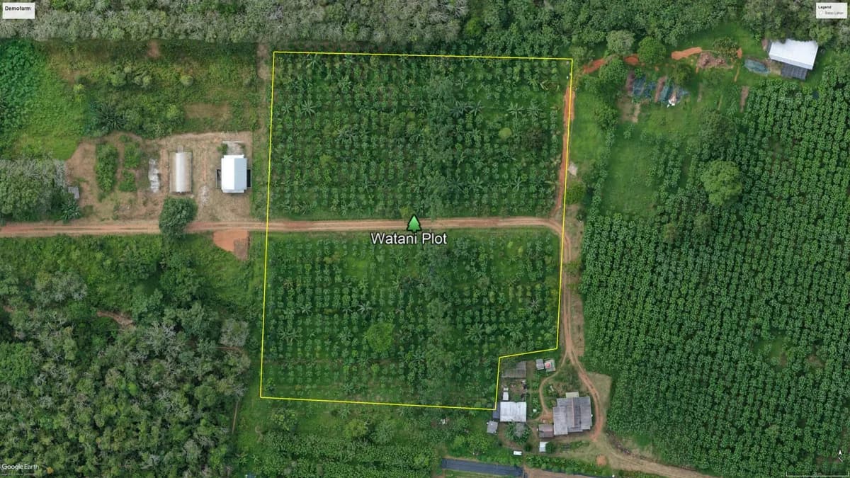 Watani Plot