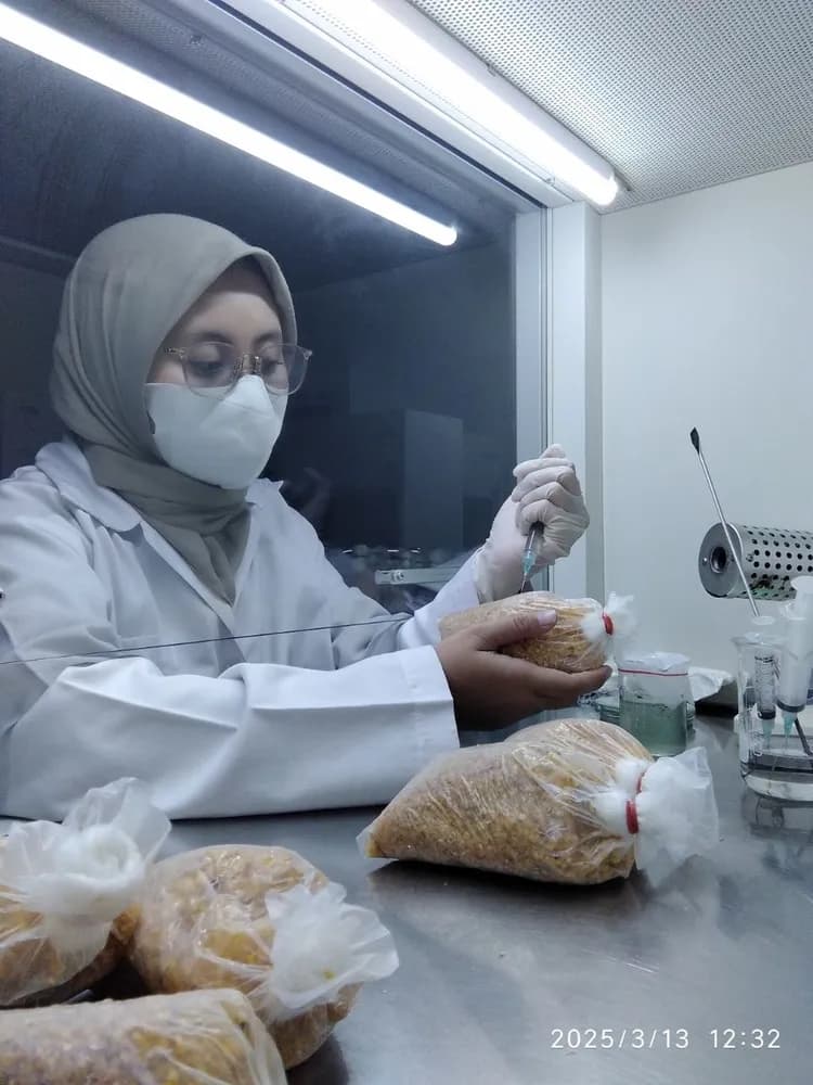 Soil Laboratory
