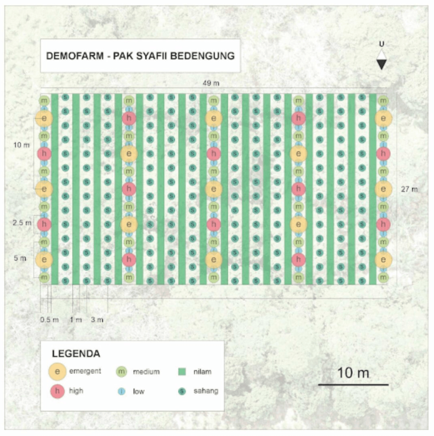 Bedengung Demofarm site plan
